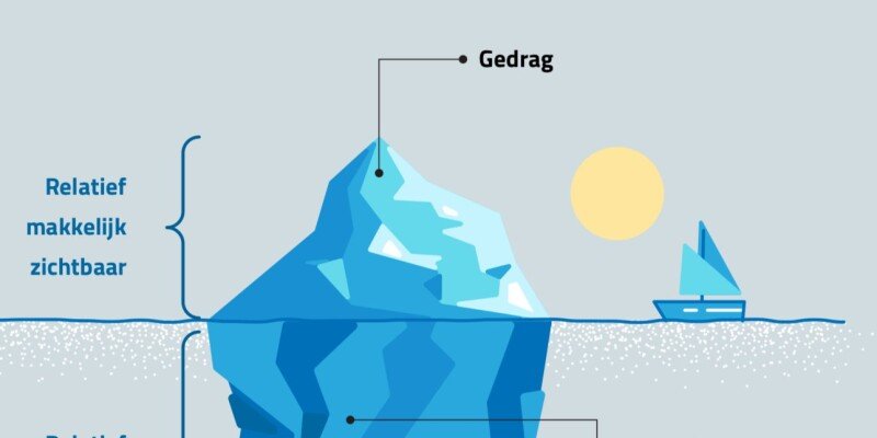 ijsberg competentieprofiel